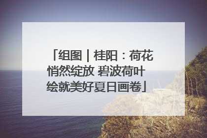 组图｜桂阳：荷花悄然绽放 碧波荷叶绘就美好夏日画卷