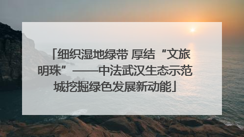 细织湿地绿带 厚结“文旅明珠”——中法武汉生态示范城挖掘绿色发展新动能