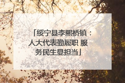 绥宁县李熙桥镇：人大代表勤履职 服务民生显担当