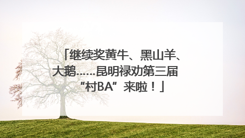 继续奖黄牛、黑山羊、大鹅……昆明禄劝第三届“村BA”来啦！