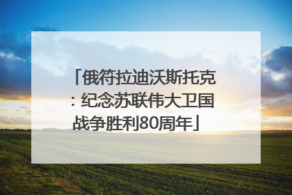 俄符拉迪沃斯托克：纪念苏联伟大卫国战争胜利80周年