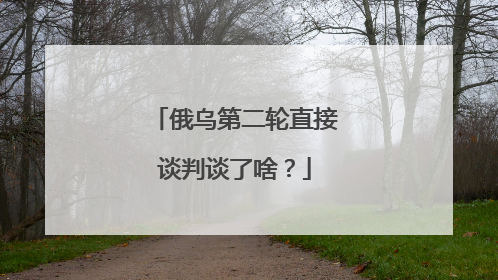 俄乌第二轮直接谈判谈了啥？