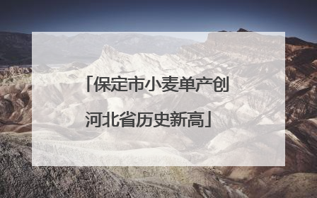 保定市小麦单产创河北省历史新高