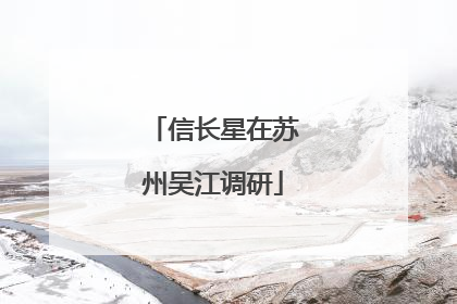 信长星在苏州吴江调研