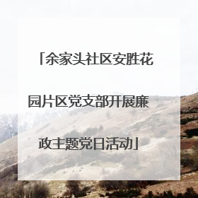 余家头社区安胜花园片区党支部开展廉政主题党日活动