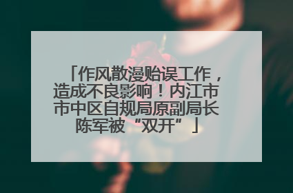 作风散漫贻误工作，造成不良影响！内江市市中区自规局原副局长陈军被“双开”
