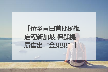 侨乡青田首批杨梅启程新加坡 保鲜提质售出“金果果”