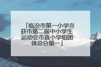 临汾市第一小学喜获市第二届中小学生运动会市直小学组团体总分第一