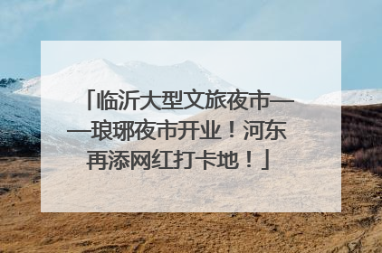 临沂大型文旅夜市——琅琊夜市开业！河东再添网红打卡地！