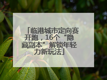 临港城市定向赛开跑，16个“隐藏副本”解锁年轻力新玩法