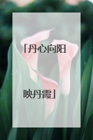 丹心向阳映丹霞