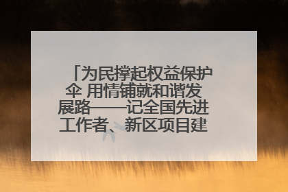 为民撑起权益保护伞 用情铺就和谐发展路——记全国先进工作者、新区项目建设中心干部卢小勇