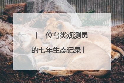 一位鸟类观测员的七年生态记录