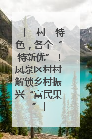 一村一特色，各个“特新优”！凤泉区村村解锁乡村振兴“富民果”