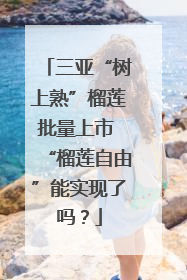 三亚“树上熟”榴莲批量上市 “榴莲自由”能实现了吗？