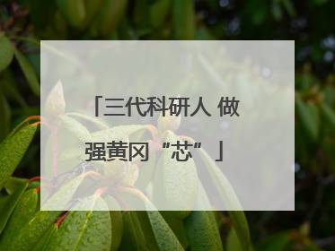 三代科研人 做强黄冈“芯”