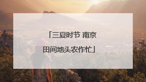 三夏时节 南京田间地头农作忙