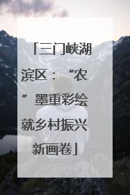 三门峡湖滨区：“农”墨重彩绘就乡村振兴新画卷