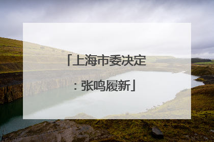 上海市委决定：张鸣履新