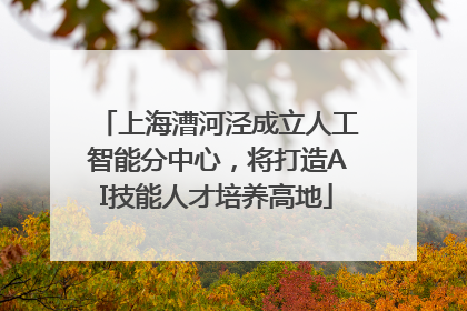 上海漕河泾成立人工智能分中心，将打造AI技能人才培养高地