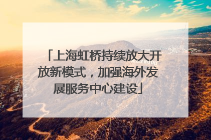 上海虹桥持续放大开放新模式，加强海外发展服务中心建设