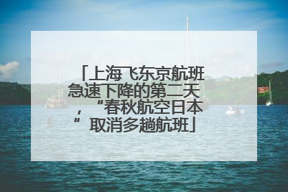 上海飞东京航班急速下降的第二天，“春秋航空日本”取消多趟航班