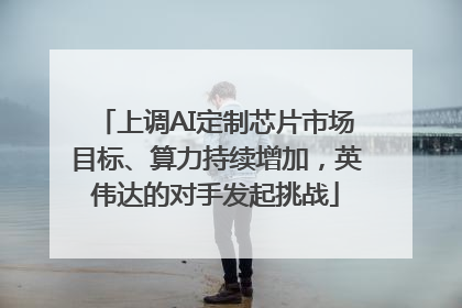 上调AI定制芯片市场目标、算力持续增加，英伟达的对手发起挑战
