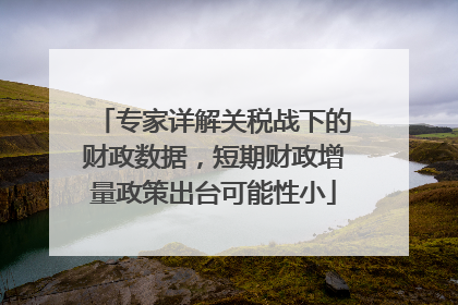 专家详解关税战下的财政数据，短期财政增量政策出台可能性小