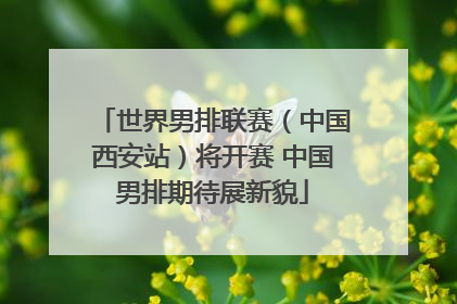 世界男排联赛（中国西安站）将开赛 中国男排期待展新貌