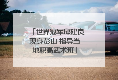 世界冠军邱建良现身彭山 指导当地职高武术班