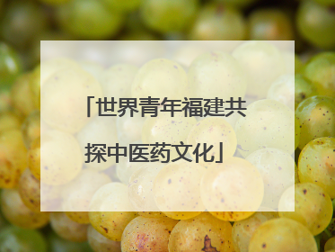世界青年福建共探中医药文化
