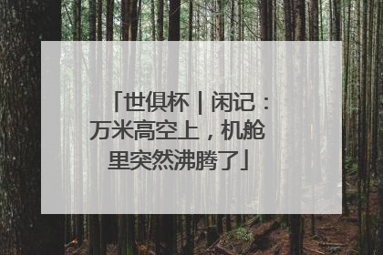 世俱杯｜闲记：万米高空上，机舱里突然沸腾了