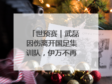 世预赛｜武磊因伤离开国足集训队，伊万不再补招顶替球员