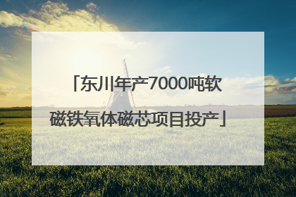东川年产7000吨软磁铁氧体磁芯项目投产
