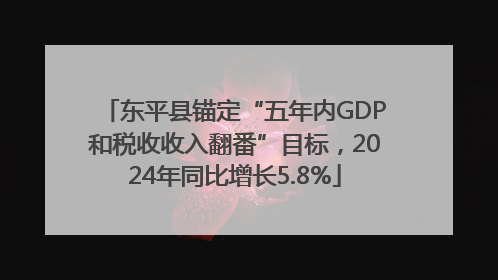 东平县锚定“五年内GDP和税收收入翻番”目标，2024年同比增长5.8%