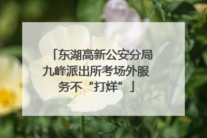 东湖高新公安分局九峰派出所考场外服务不“打烊”