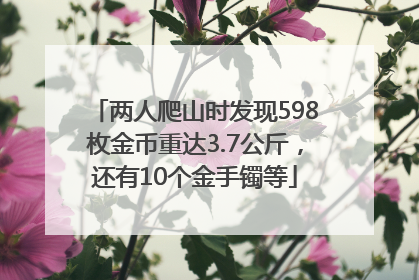 两人爬山时发现598枚金币重达3.7公斤，还有10个金手镯等