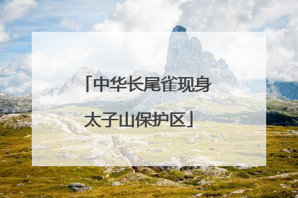中华长尾雀现身太子山保护区