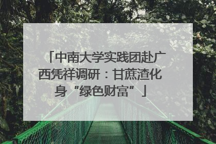 中南大学实践团赴广西凭祥调研：甘蔗渣化身“绿色财富”