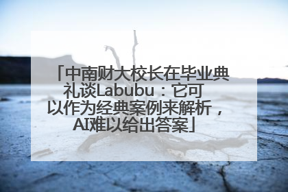 中南财大校长在毕业典礼谈Labubu：它可以作为经典案例来解析，AI难以给出答案