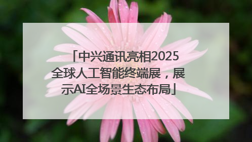 中兴通讯亮相2025全球人工智能终端展，展示AI全场景生态布局