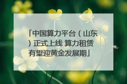 中国算力平台（山东）正式上线 算力租赁有望迎黄金发展期