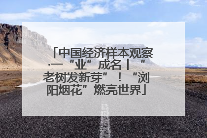 中国经济样本观察·一“业”成名丨“老树发新芽”！“浏阳烟花”燃亮世界