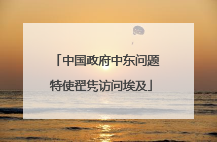 中国政府中东问题特使翟隽访问埃及