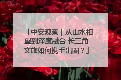 中安观察｜从山水相望到深度融合 长三角文旅如何携手出圈？