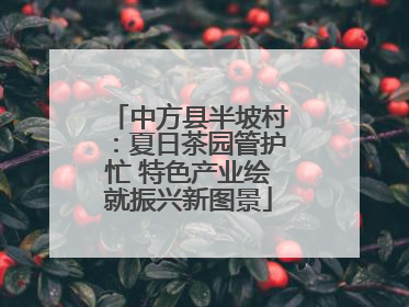 中方县半坡村：夏日茶园管护忙 特色产业绘就振兴新图景