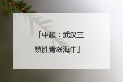 中超：武汉三镇胜青岛海牛