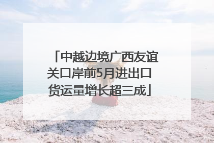 中越边境广西友谊关口岸前5月进出口货运量增长超三成