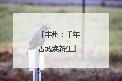 丰州：千年古城焕新生