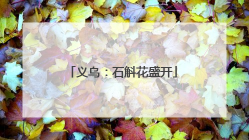 义乌：石斛花盛开